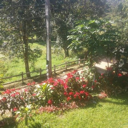 Phuoobfa Resort Pong Yaeng Exterior foto